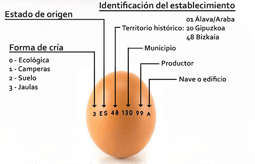 codificación de los huevos